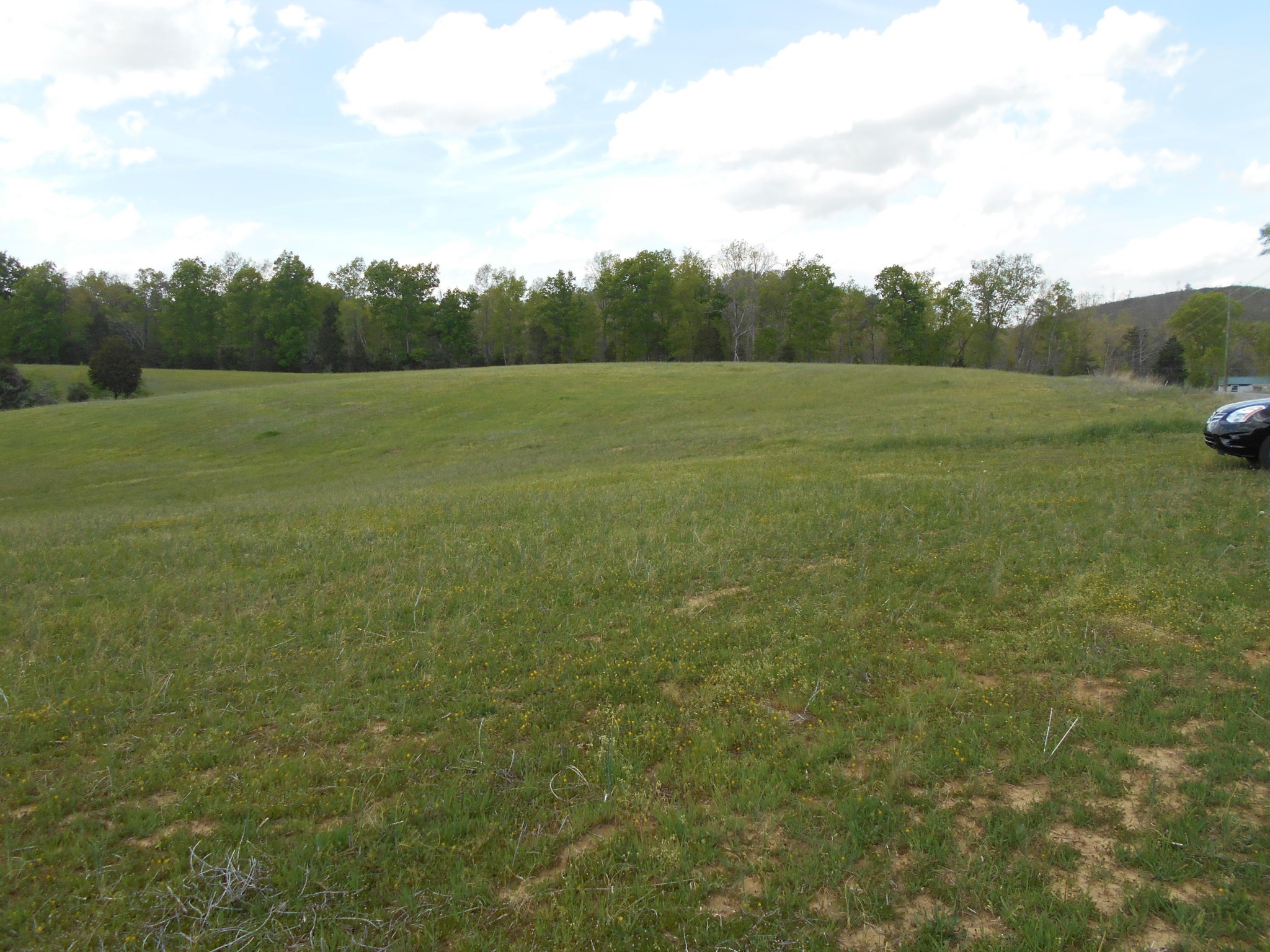 1 Gamble Gap Road Tellico Plains, TN 37385 - Photo 3 of 17 Gallery Image 3