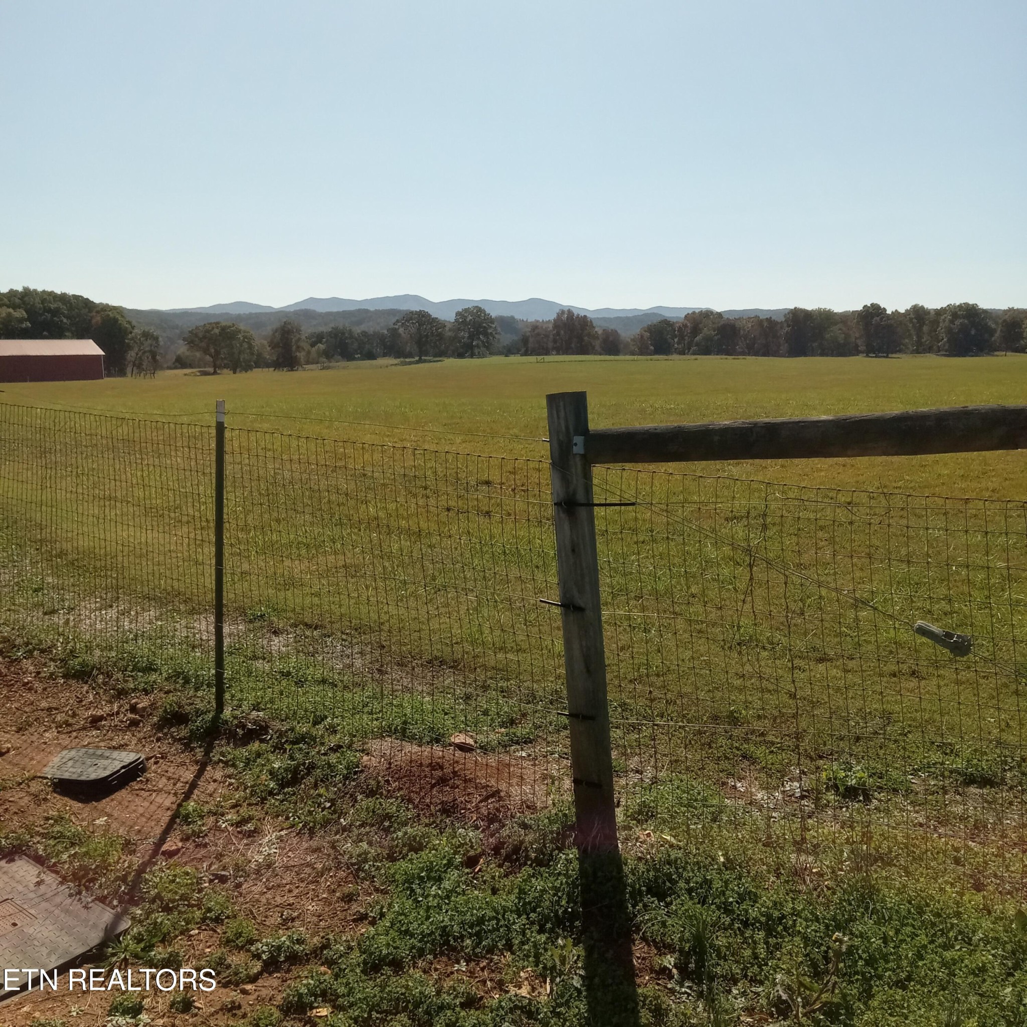 890 Fairview Road Tellico Plains, TN 37385 - Photo 5 of 19 Gallery Image 5