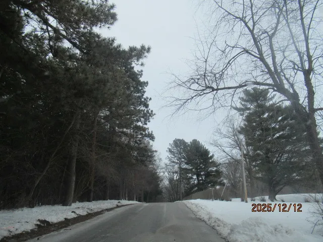 a view of road and trees