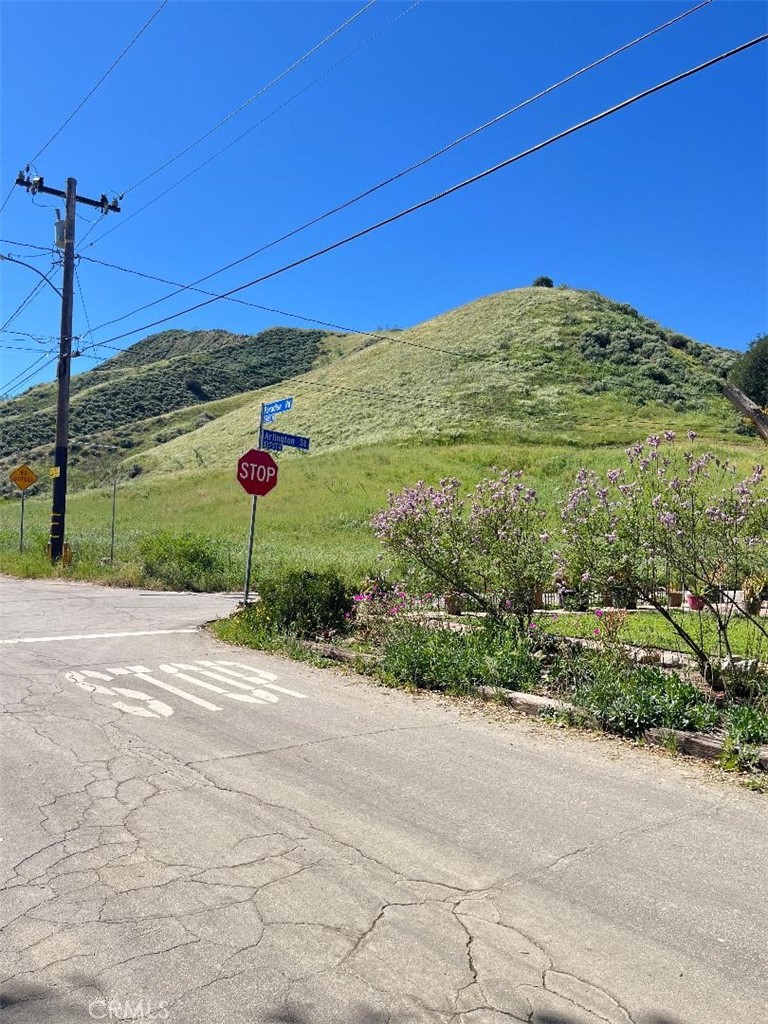 0 Paradise Road Val Verde, CA 91384 - Photo 3 of 3