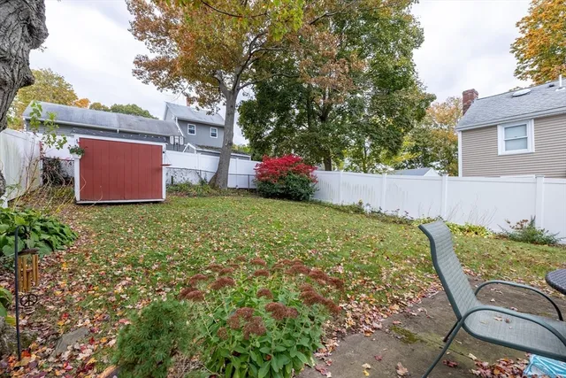 a view of a yard with plants