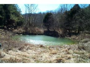 575 Manis Road Rogersville, TN 37857 - Photo 9 of 9 Photo 9