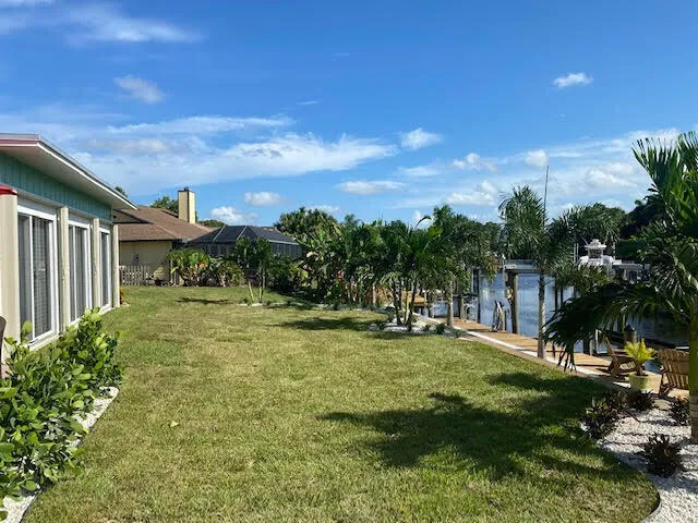 a view of a backyard with plants and a garden