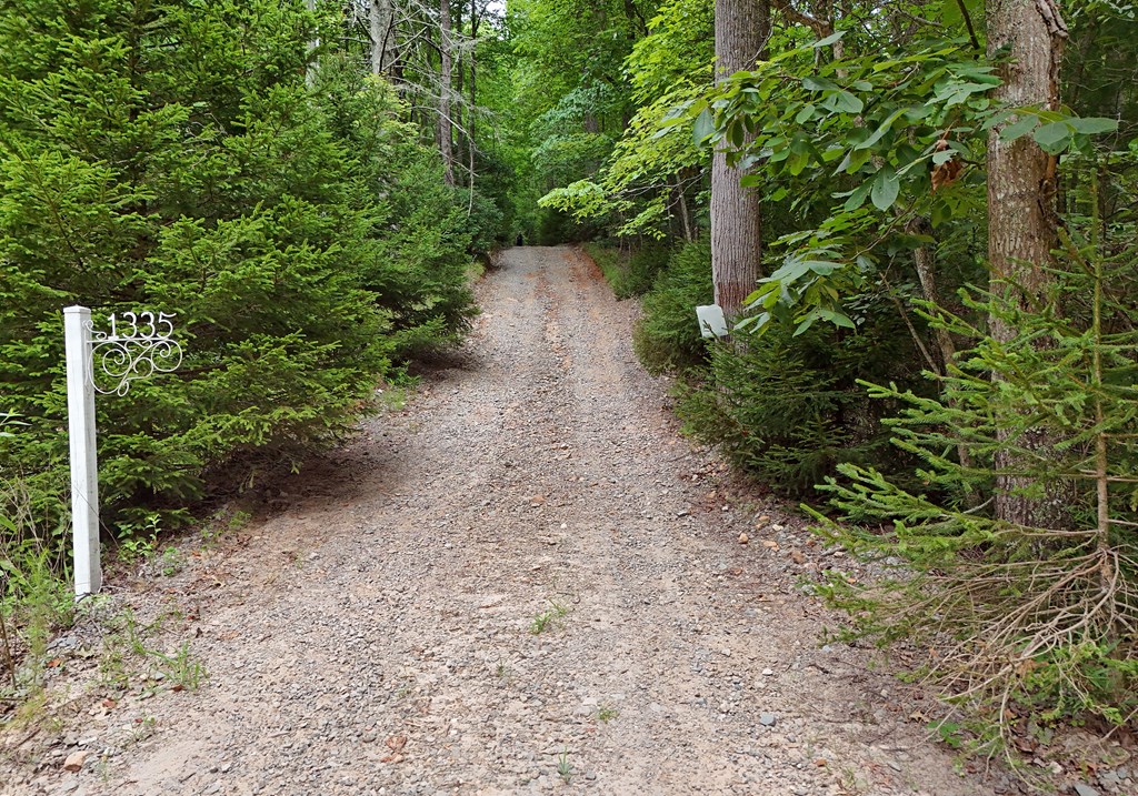 1335 Willard Mountain Road Blue Ridge, GA 30513 - Photo 64 of 68 Gallery Image 64