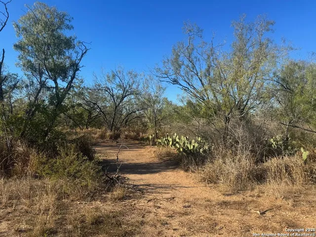 a view of backyard with green space