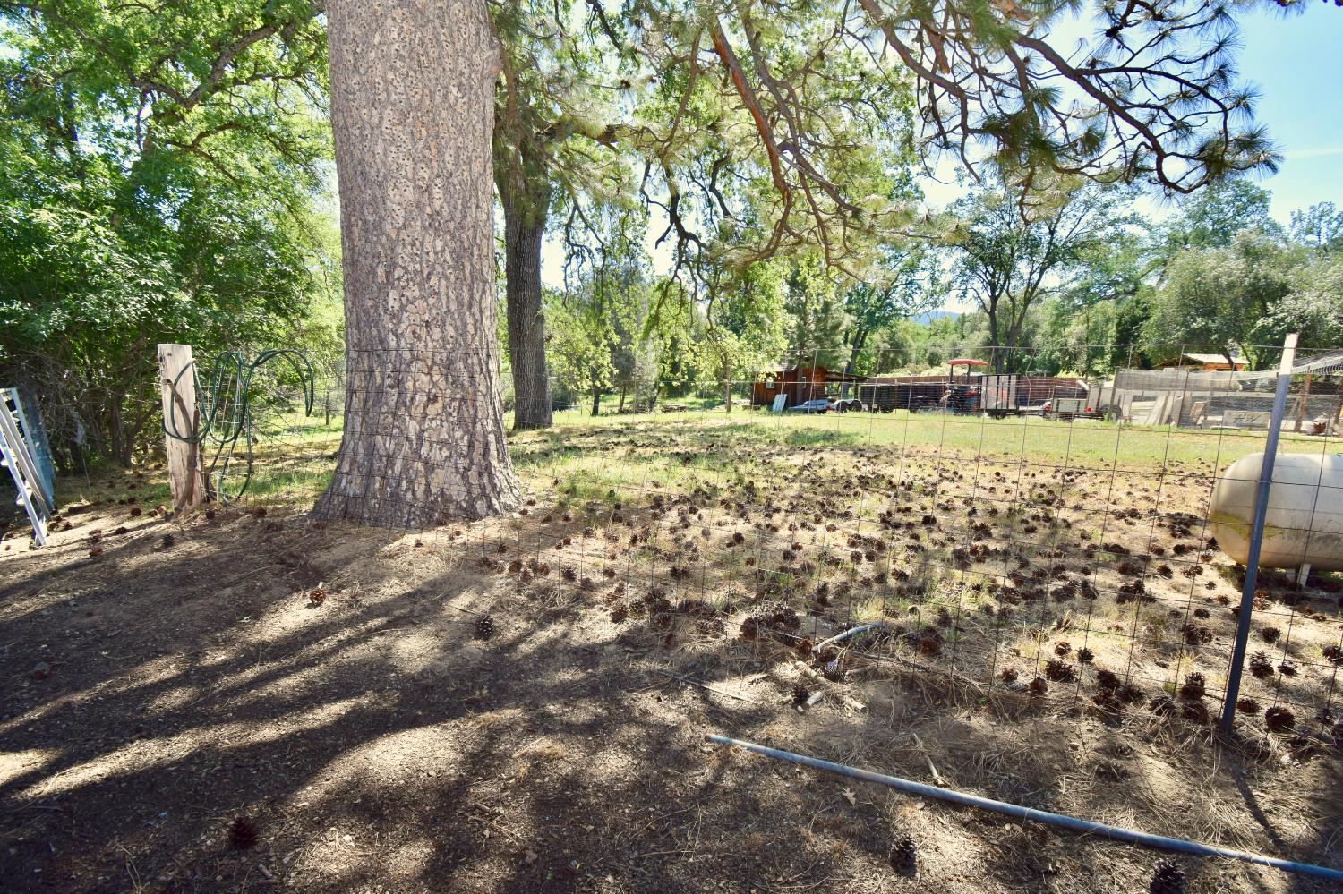 39384 Road 425B Oakhurst, CA 93644 - Photo 3 of 18