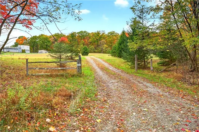 a view of a yard with swimming pool