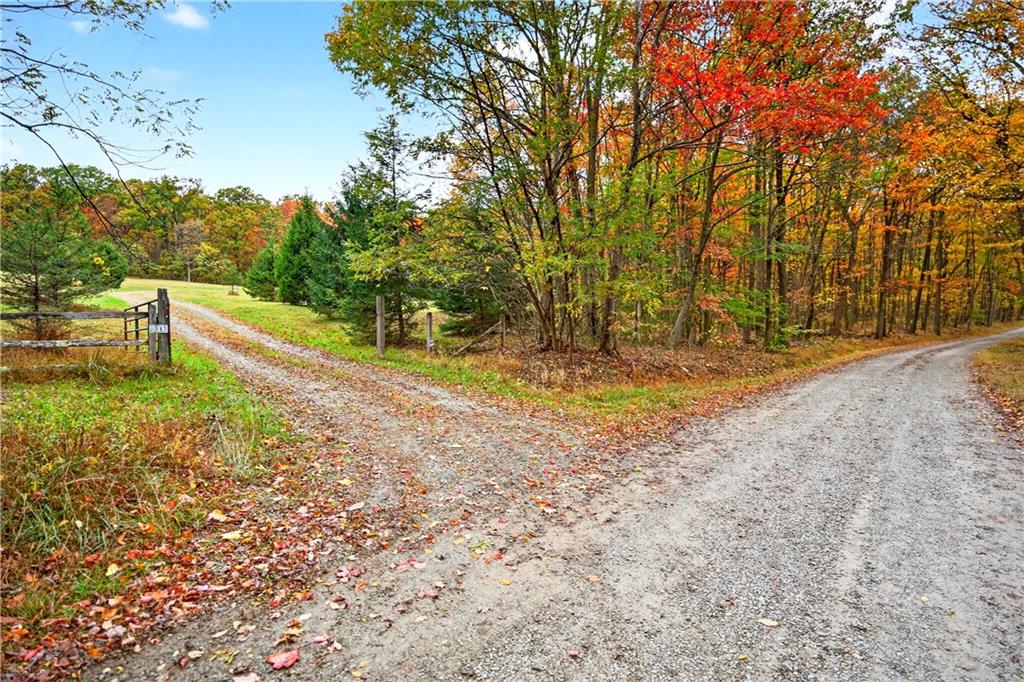 341 Skyview Road Stahlstown, PA 15687 - Photo 3 of 33 a view of backyard with large trees