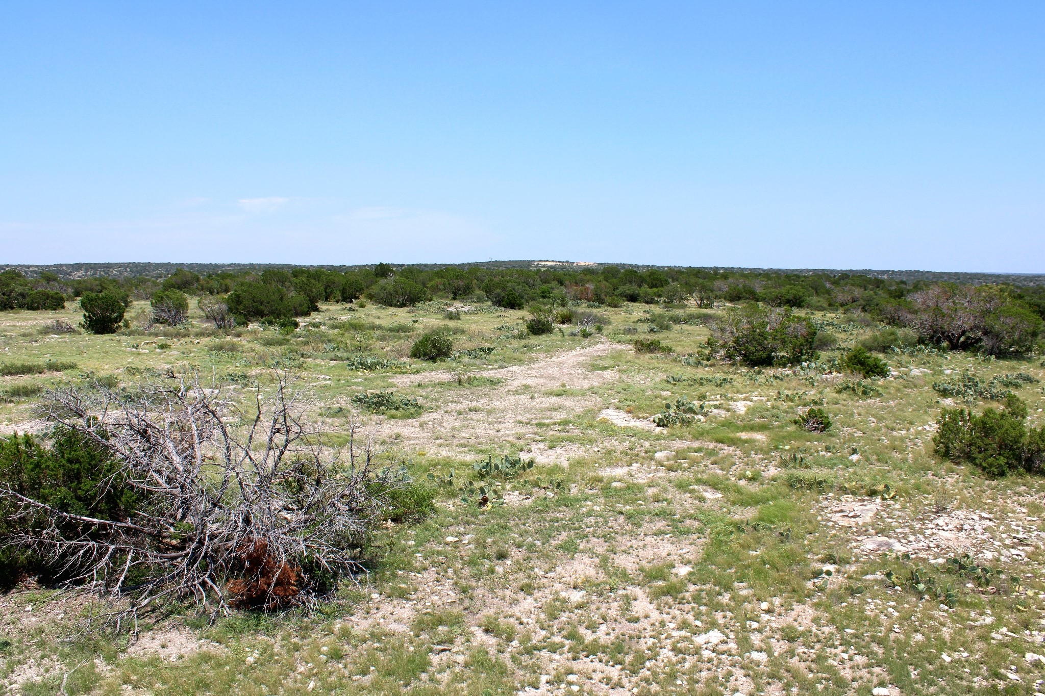 2519 Widmark Road Comstock, TX 78837 - Photo 29 of 48