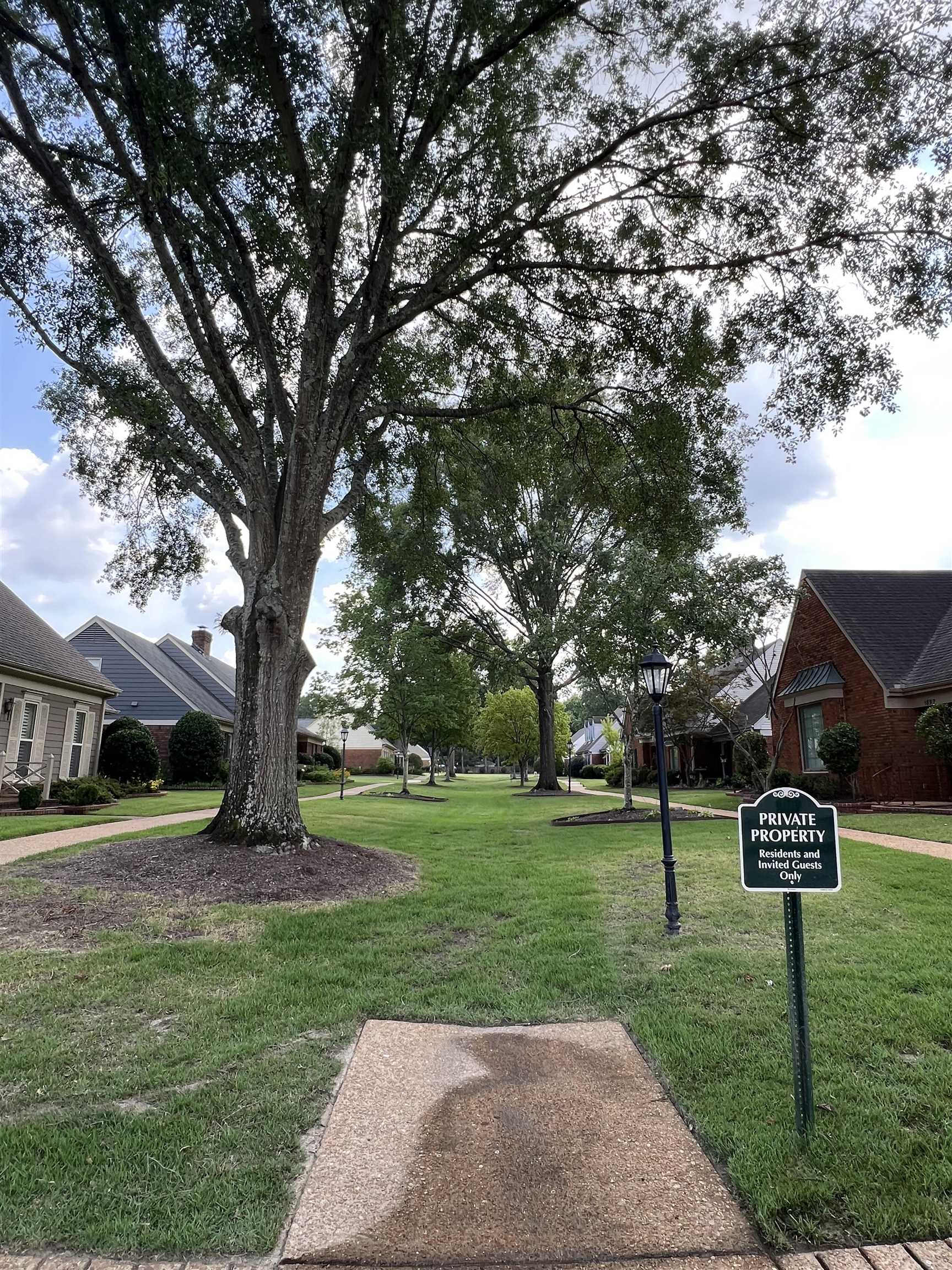 1889 Allenby Road Germantown, TN 38139 - Photo 17 of 17 a view of a park with large trees