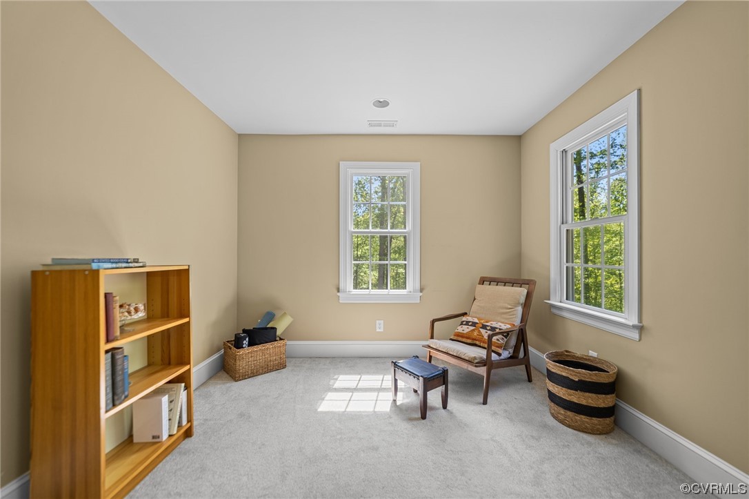 15163 Rice Road Beaverdam, VA 23015 - Photo 17 of 50 a living room with furniture and a window