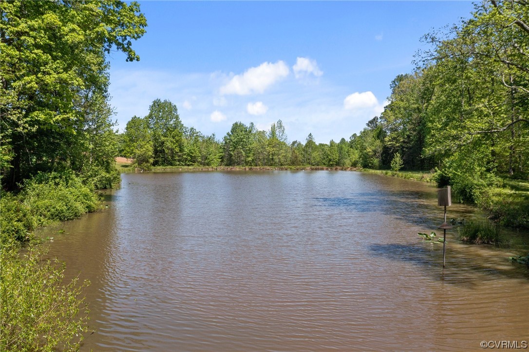 15163 Rice Road Beaverdam, VA 23015 - Photo 35 of 50 a view of lake