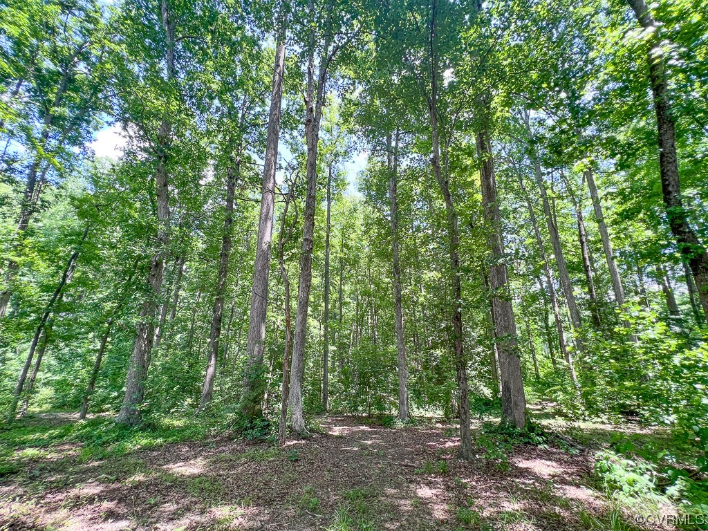 15163 Rice Road Beaverdam, VA 23015 - Photo 41 of 50 a view of outdoor space and green space