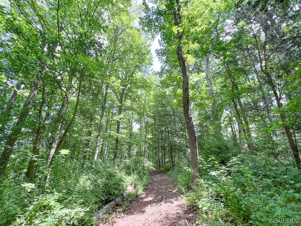 15163 Rice Road Beaverdam, VA 23015 - Photo 45 of 50 a view of a lush green forest