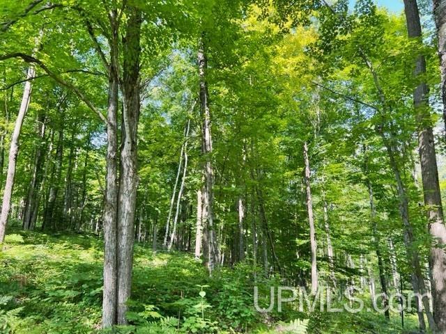 T-wi Birch Hill Road Amberg, WI 54102 - Photo 19 of 21