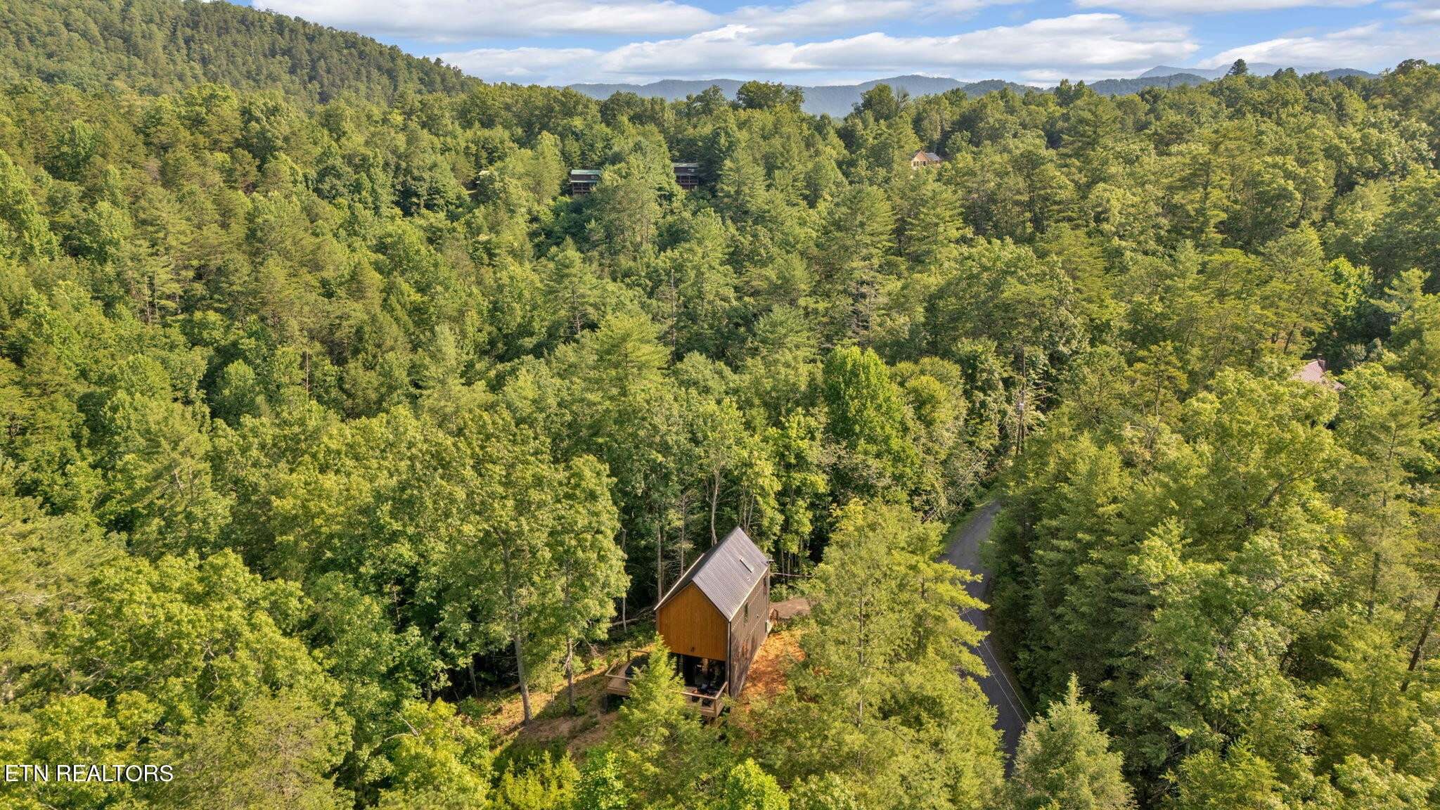 a view of a yard with a tree