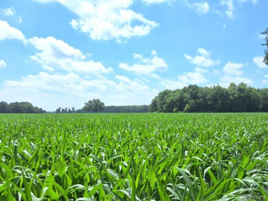 Auction Lot# 5 Auction Road Allenton, MI 48002 - Photo 3 of 4