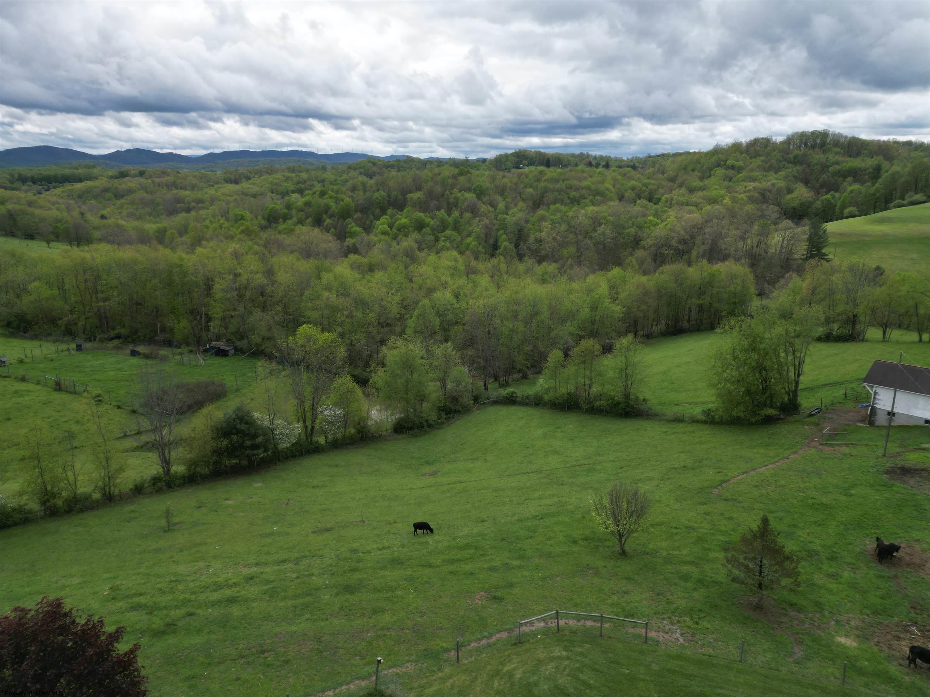 188 Tyhannon Road Philippi, WV 26416 - Photo 35 of 48 Gallery Image 35