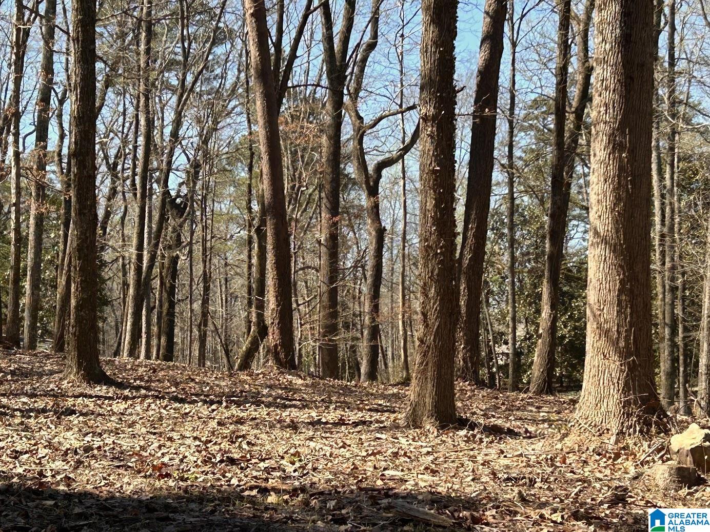 3300 Sherwood Road Birmingham, AL 35223 - Photo 11 of 16