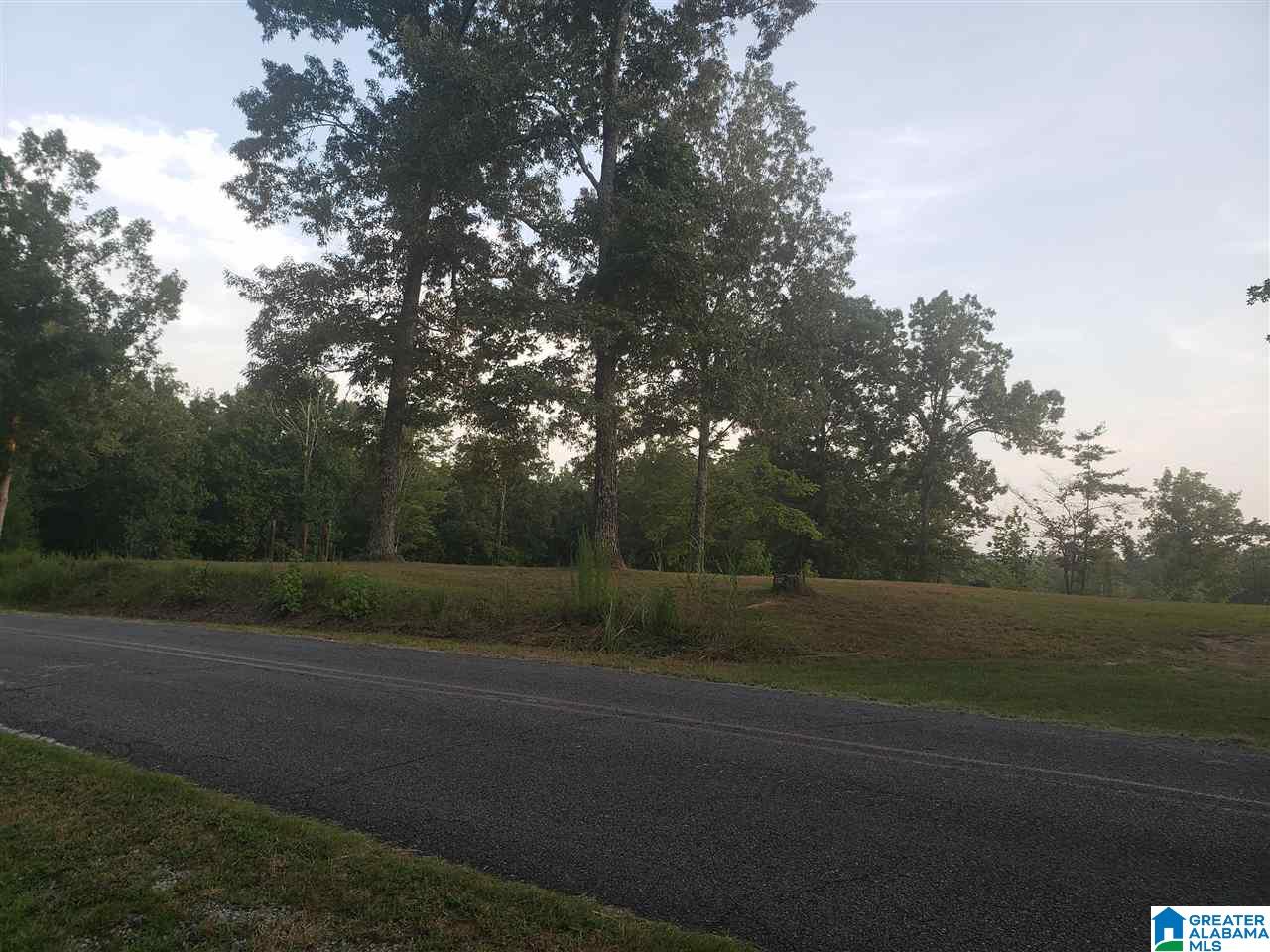 8480 Sharit Dairy Road, Unit LOT 3 Gardendale, AL 35071 - Photo 3 of 9