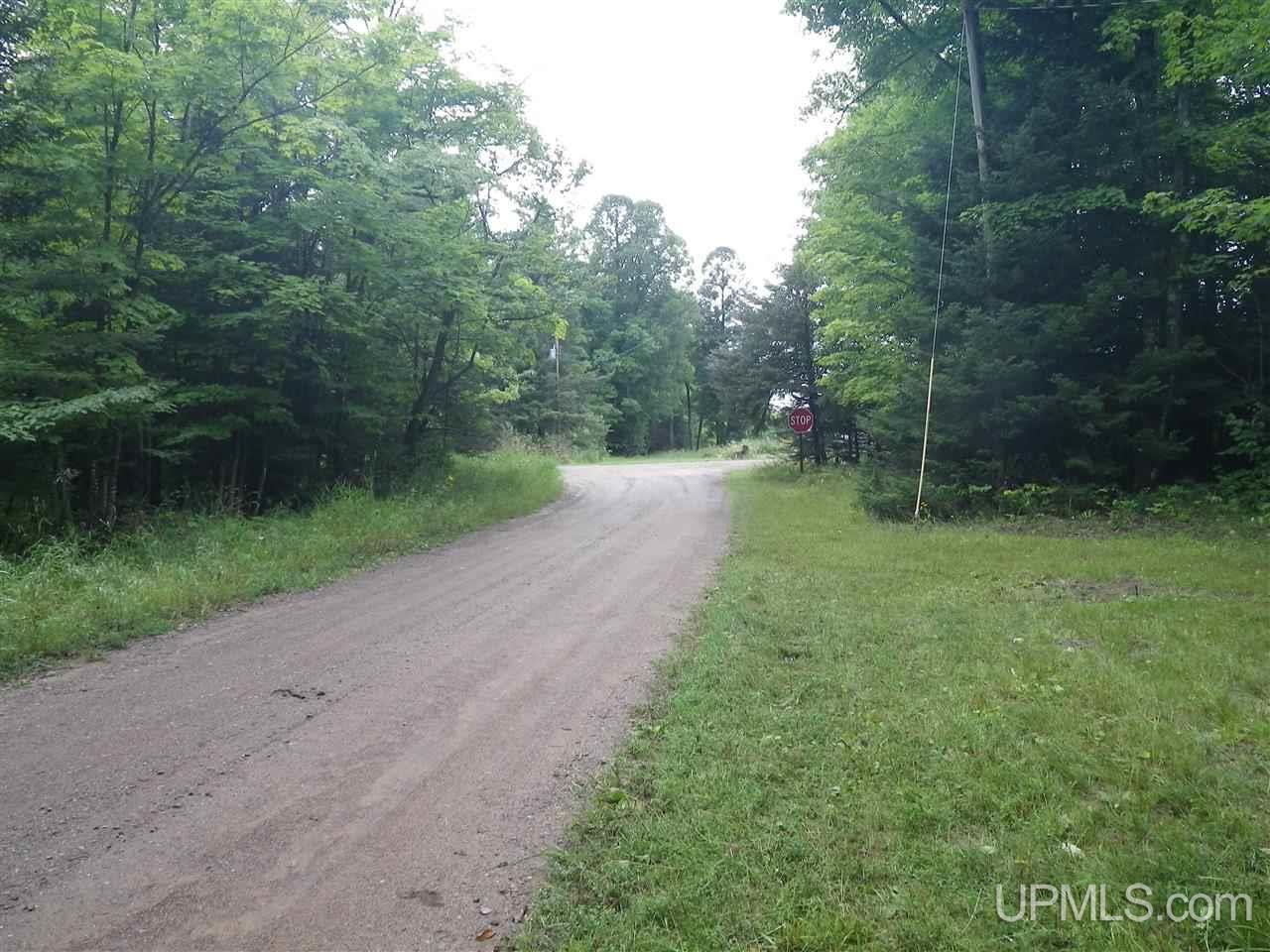 139 County Road South Felch, MI 49831 - Photo 24 of 24