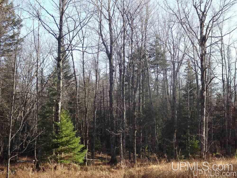 Tbd Net River Road, Unit 8 Crystal Falls, MI 49920 - Photo 2 of 4