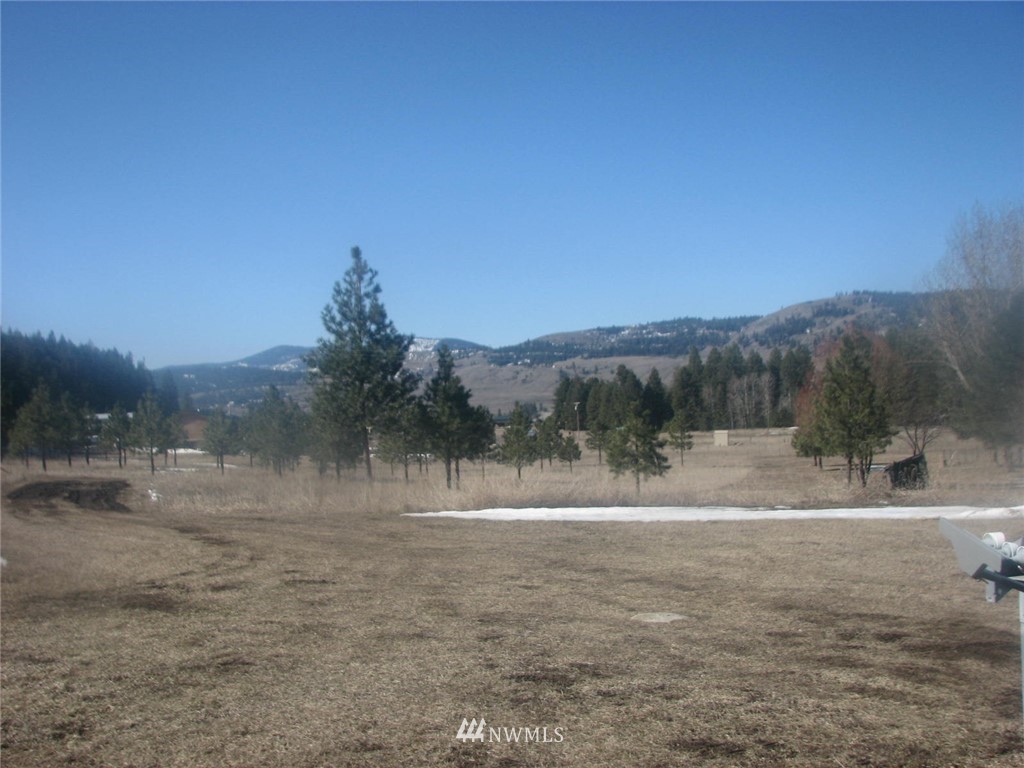 63 Lambert Creek Road Republic, WA 99166 - Photo 29 of 36 Gallery Image 29