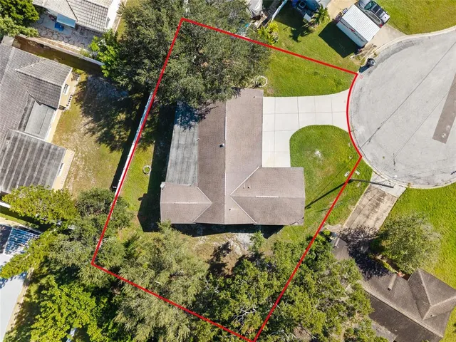 a view of a garden with plants