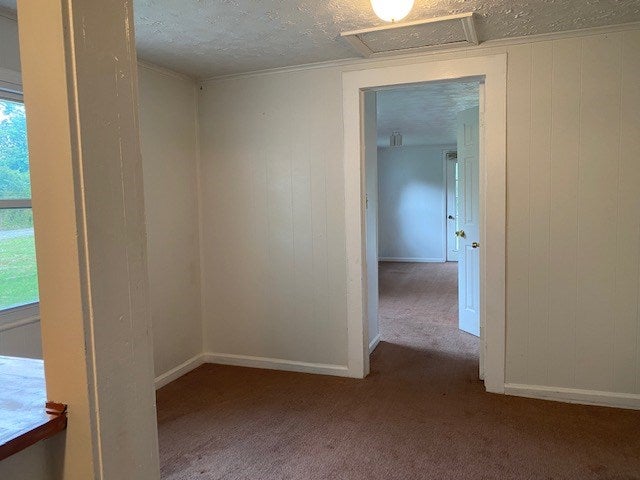 137 Elliott Hurt Road Kenbridge, VA 23944 - Photo 18 of 29 Gallery Image 18