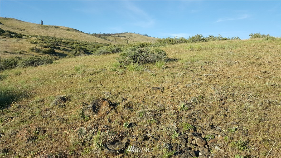 93-xx Chukar Ridge Road Ellensburg, WA 98926 - Photo 12 of 21 Gallery Image 12