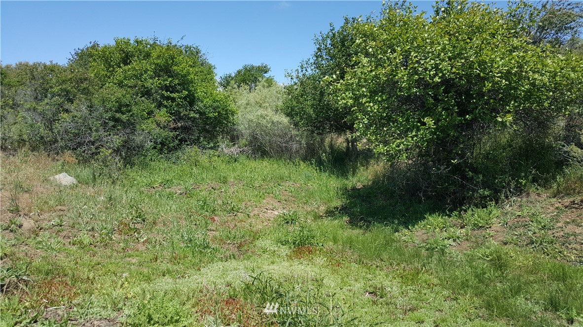 93-xx Chukar Ridge Road Ellensburg, WA 98926 - Photo 13 of 21 Gallery Image 13