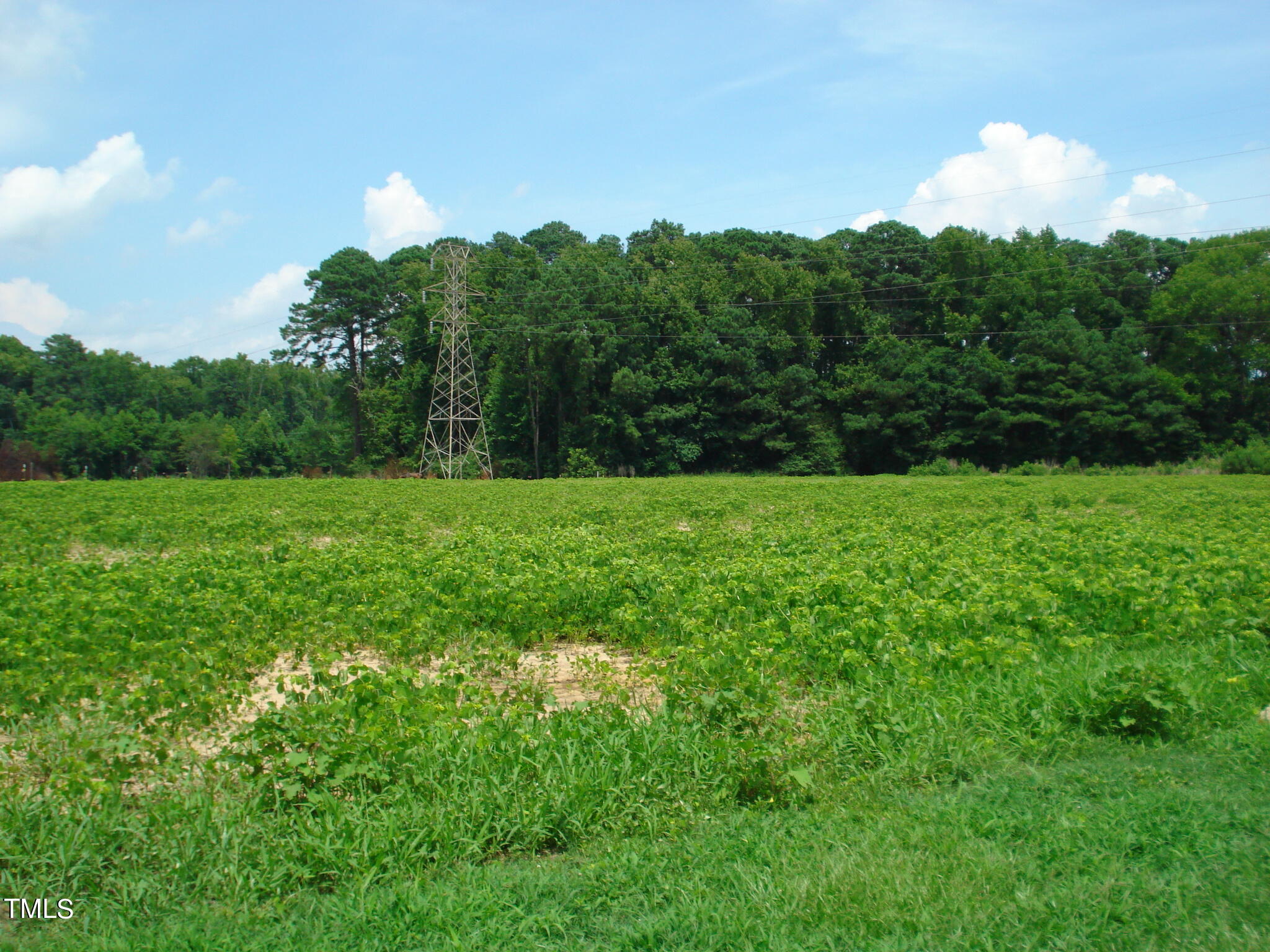 0 Butler Drive Erwin, NC 28339 - Photo 2 of 9 DSC08160
