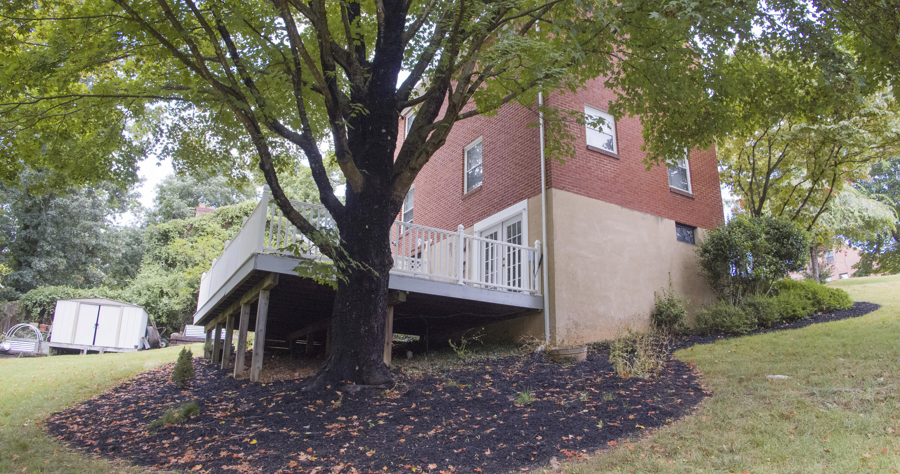2773 Tillett Road Southwest Roanoke, VA 24015 - Photo 31 of 34 35.Backyard_2