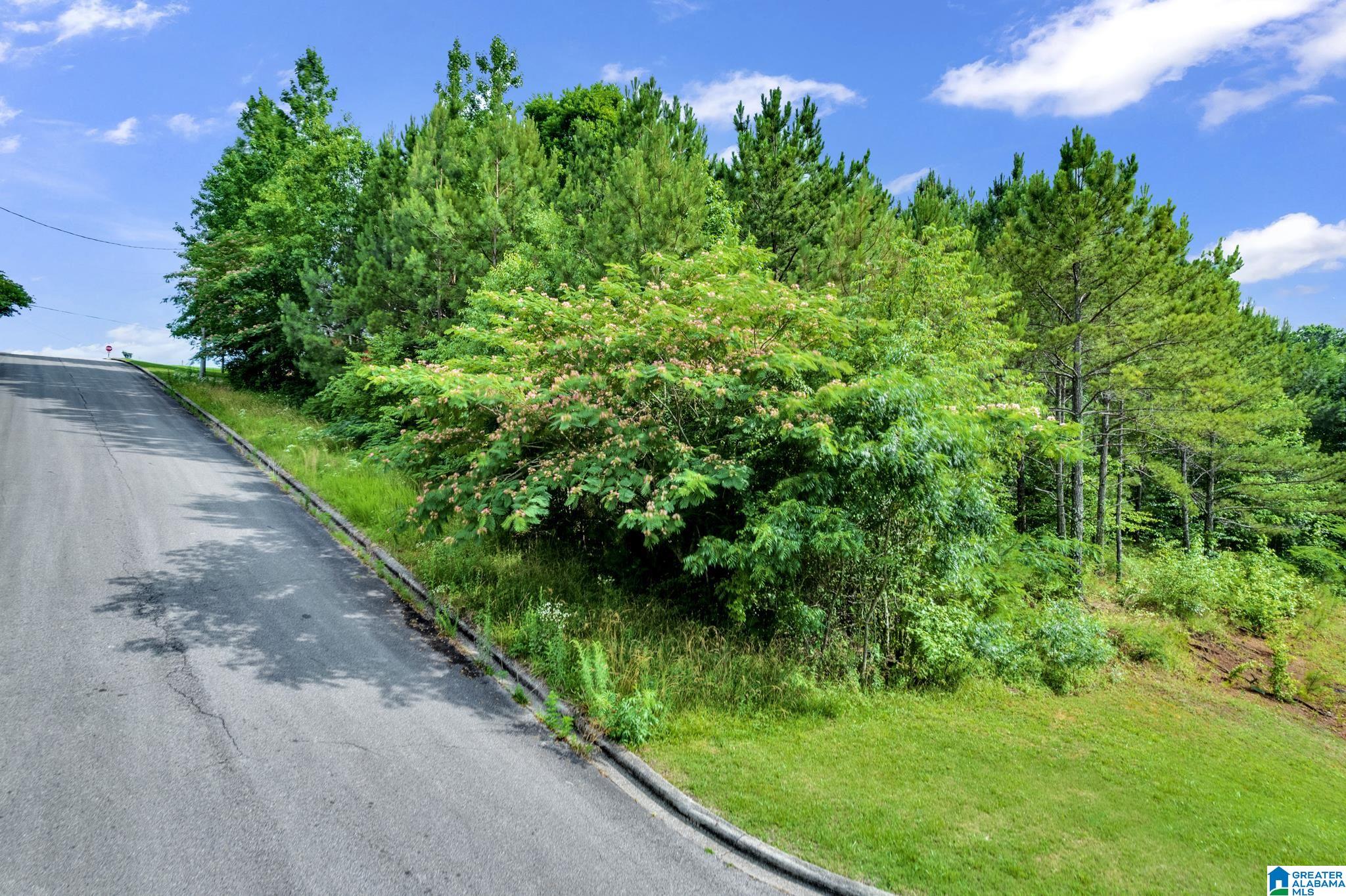 0 Valley View Lane, Unit 1 Oneonta, AL 35121 - Photo 9 of 13