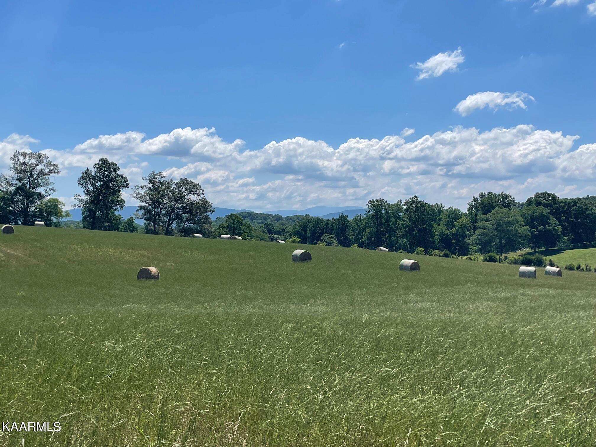 3 Trigonia Road Maryville, TN 37801 - Photo 1 of 6 Lot View