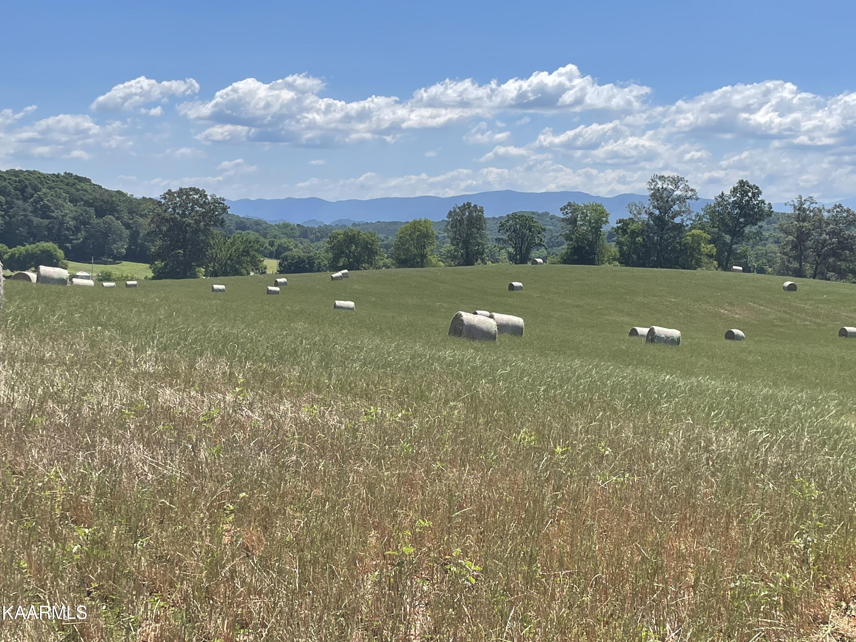 3 Trigonia Road Maryville, TN 37801 - Photo 2 of 6 Lot View