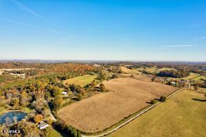 3 Trigonia Road Maryville, TN 37801 - Photo 3 of 6 View