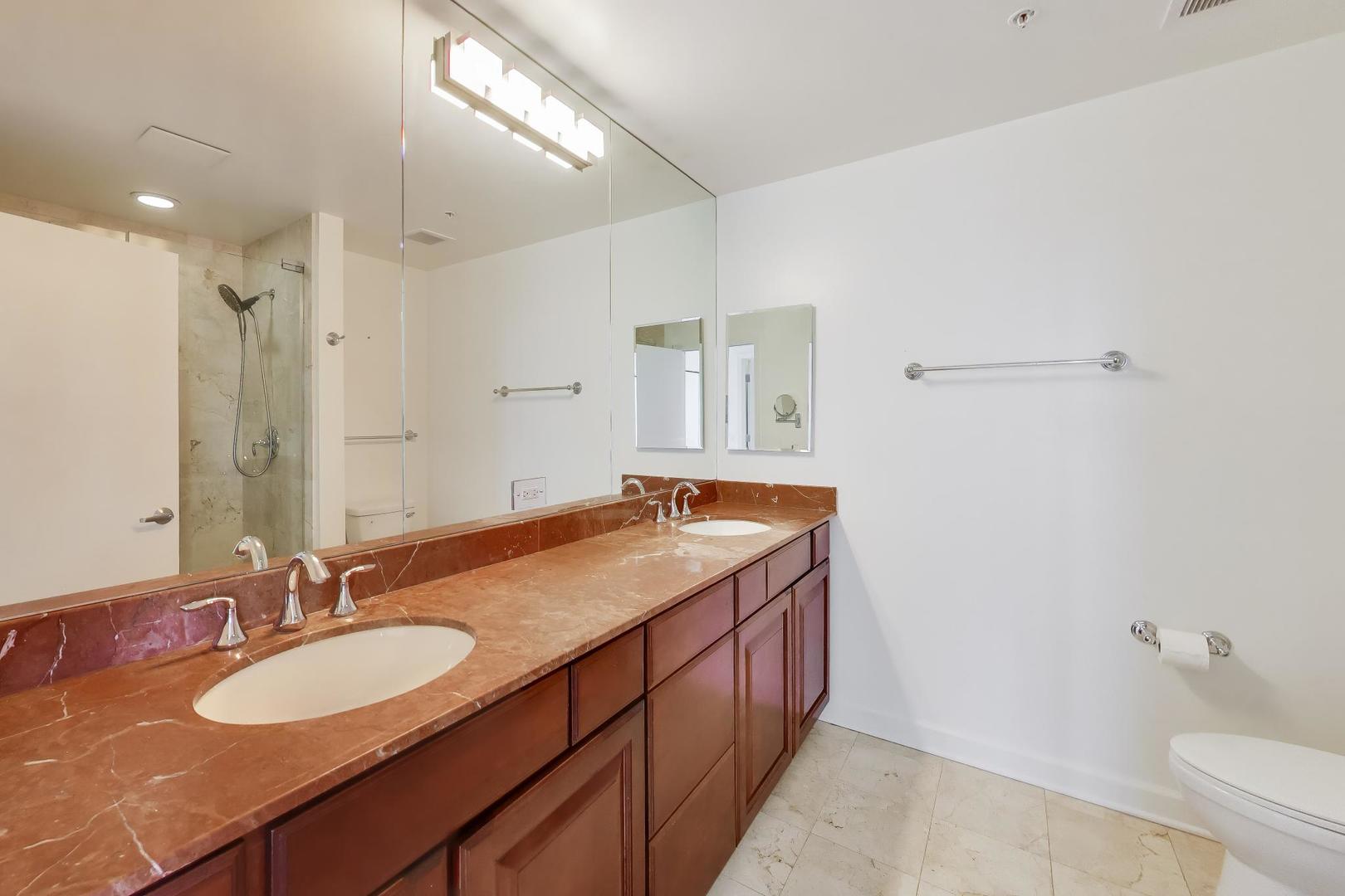 1629 South Prairie Avenue, Unit 1806 Chicago, IL 60616 - Photo 10 of 27 a bathroom with a granite countertop sink and a mirror
