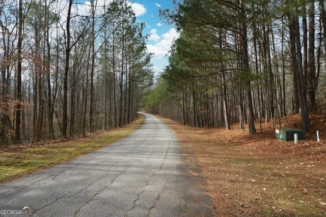 a backyard of a house with large trees