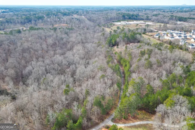 a view of a lot of trees and bushes