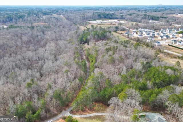 a view of a yard with trees