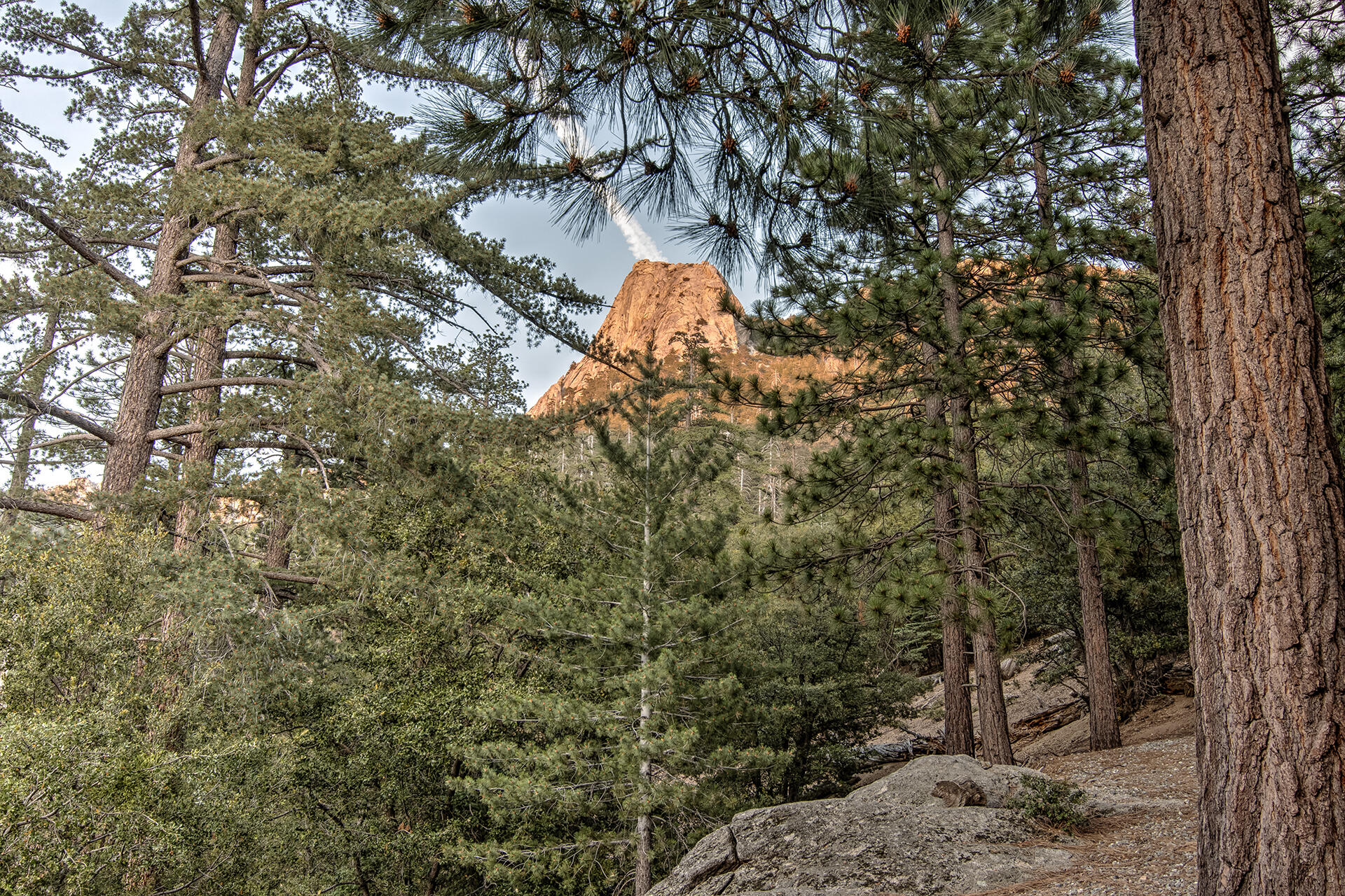 55540 Howland Road Idyllwild, CA 92549 - Photo 48 of 76 _MG_3667