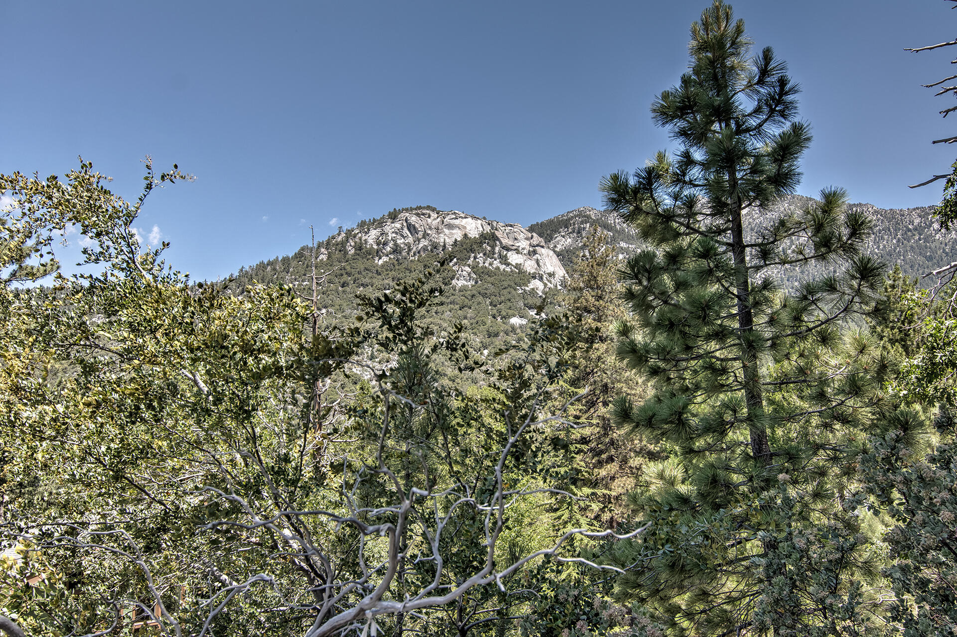 55540 Howland Road Idyllwild, CA 92549 - Photo 57 of 76 _MG_3073