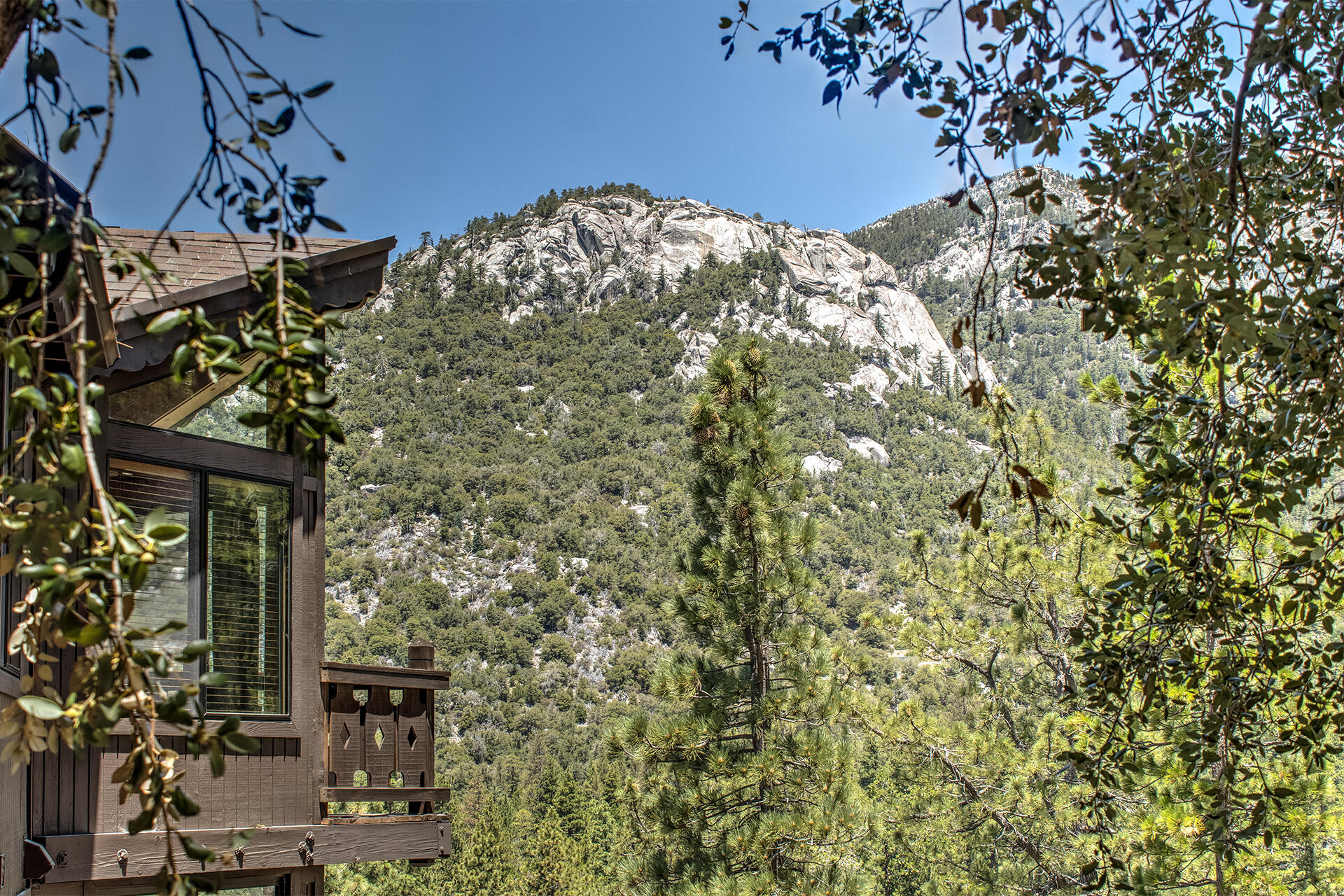 55540 Howland Road Idyllwild, CA 92549 - Photo 70 of 76 a view of a house with a tree