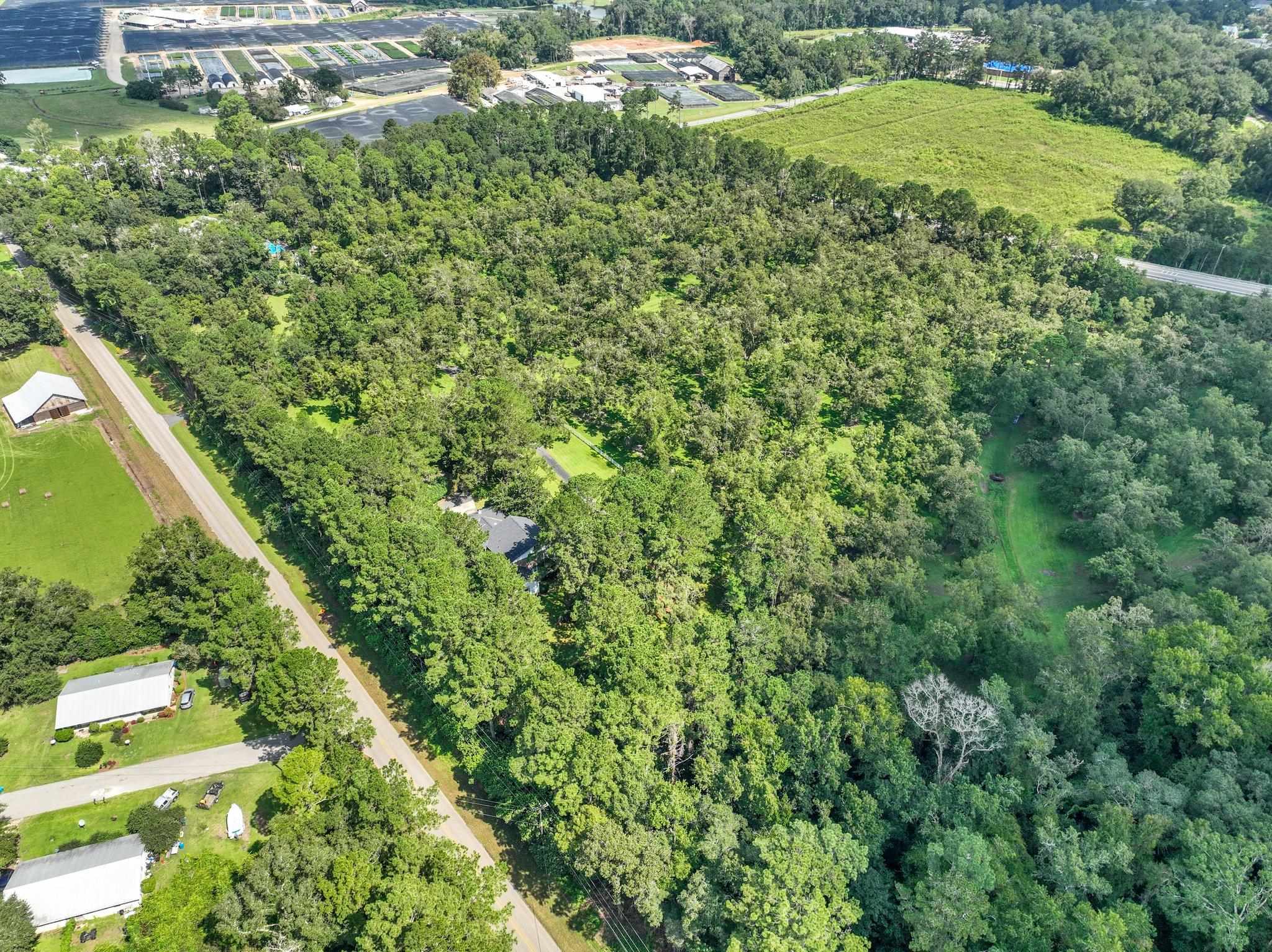 1244 Salem Road Havana, FL 32333 - Photo 40 of 44 Gallery Image 40