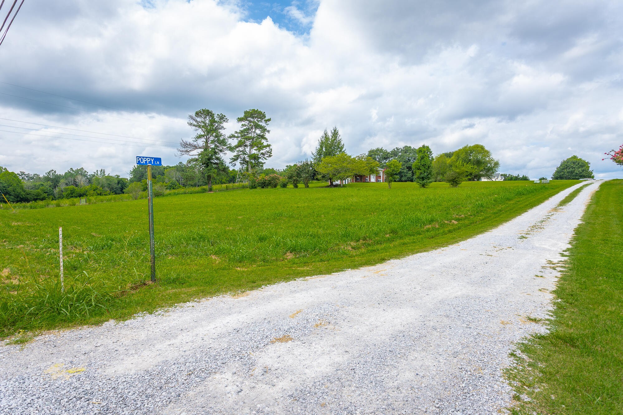 0 Dietz Road Ringgold, GA 30736 - Photo 5 of 21 Gallery Image 5