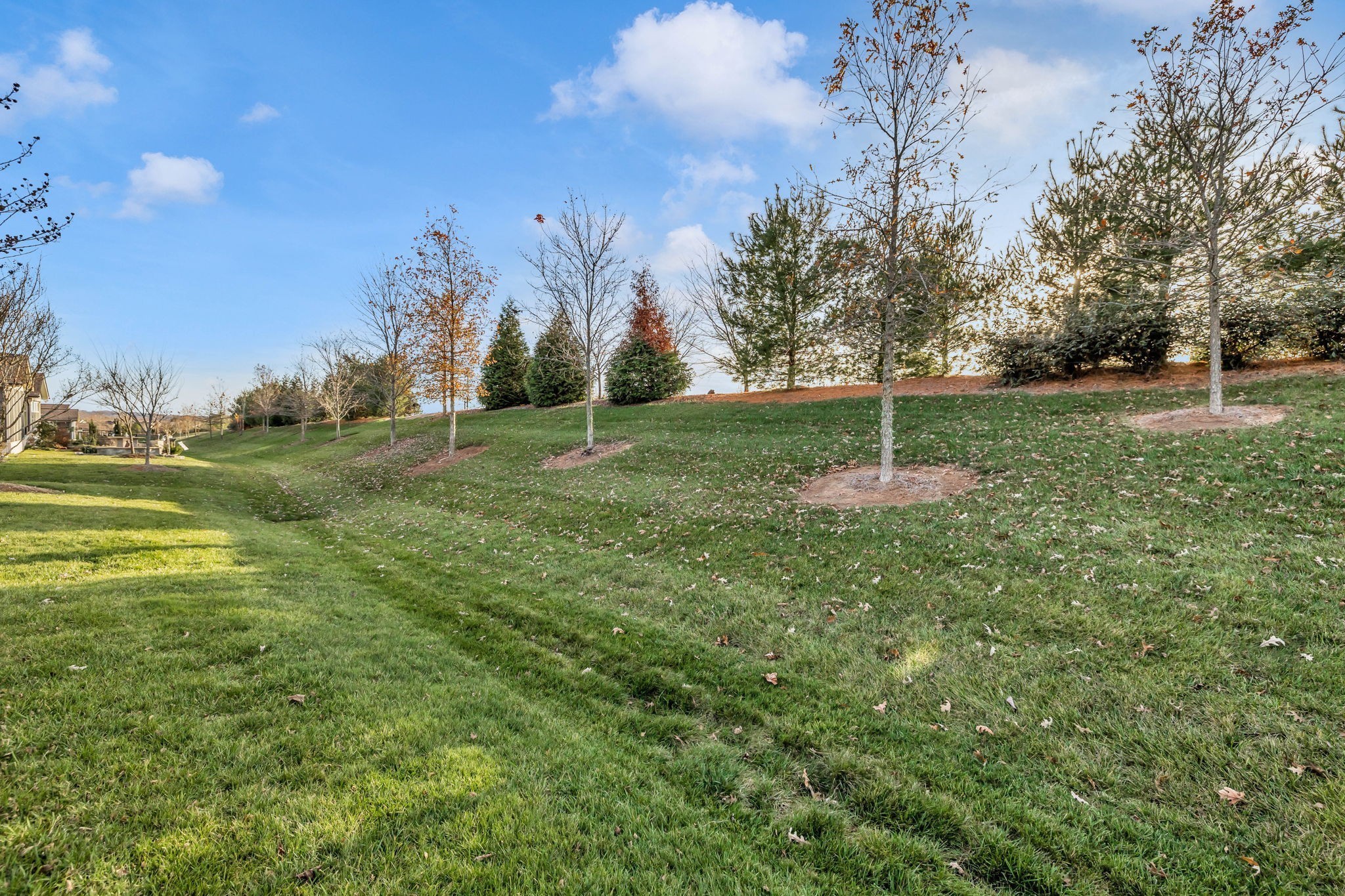 843 Clay Place Spring Hill, TN 37174 - Photo 47 of 56 a view of a park with large trees