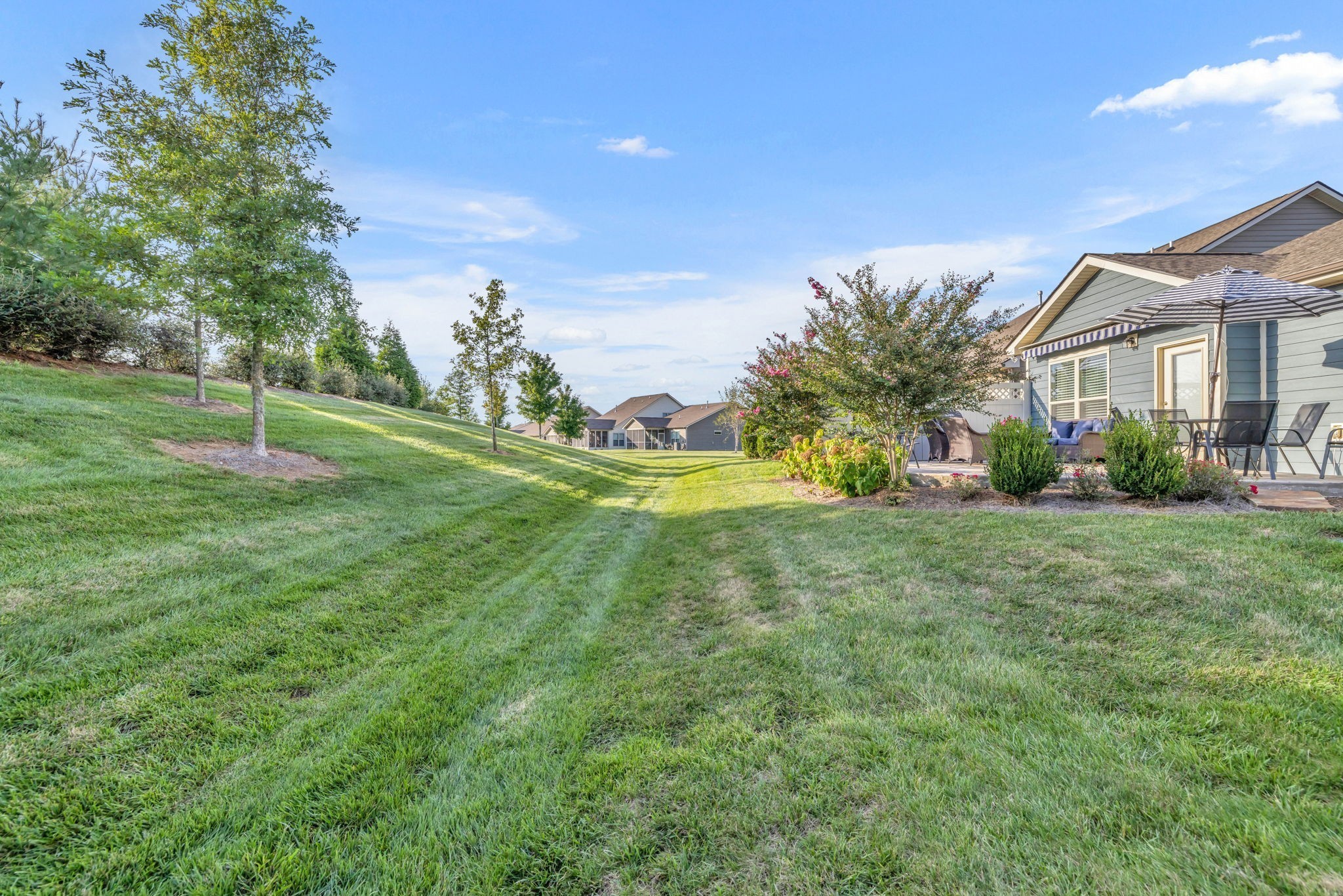 843 Clay Place Spring Hill, TN 37174 - Photo 51 of 56 a view of a backyard of the house