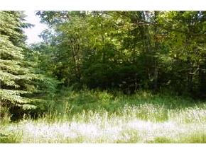 Tbd North Road Deerfield, NH 03037 - Photo 2 of 2 Gallery Image 2