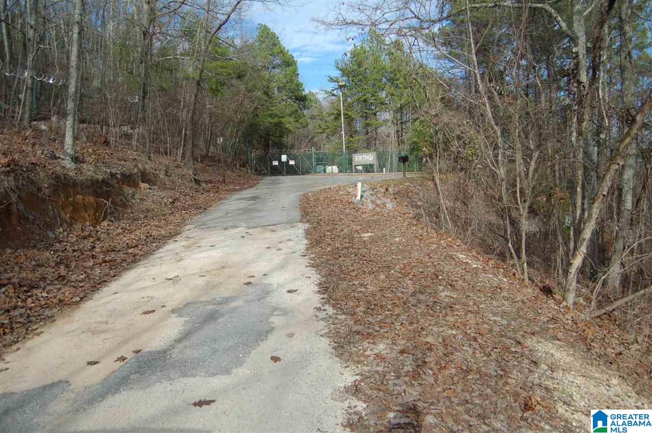200-acres High Road, Unit 200 ACRES Pell City, AL 35128 - Photo 14 of 17